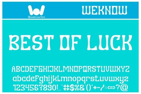 Best of Luck: The Premium Display Font for Modern Editorial Design